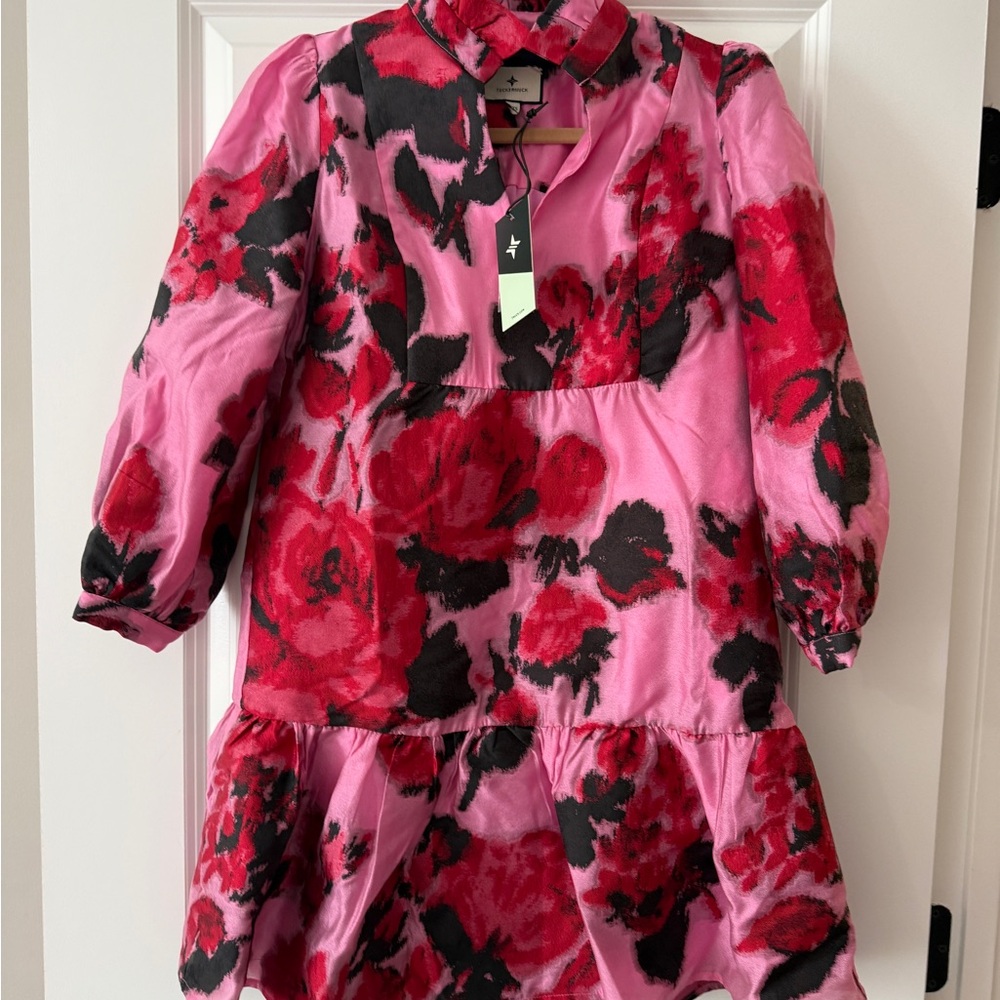 NWT Tuckernuck Palmerston Pink and Red Floral Mini Dress XXS - Picture 2 of 2